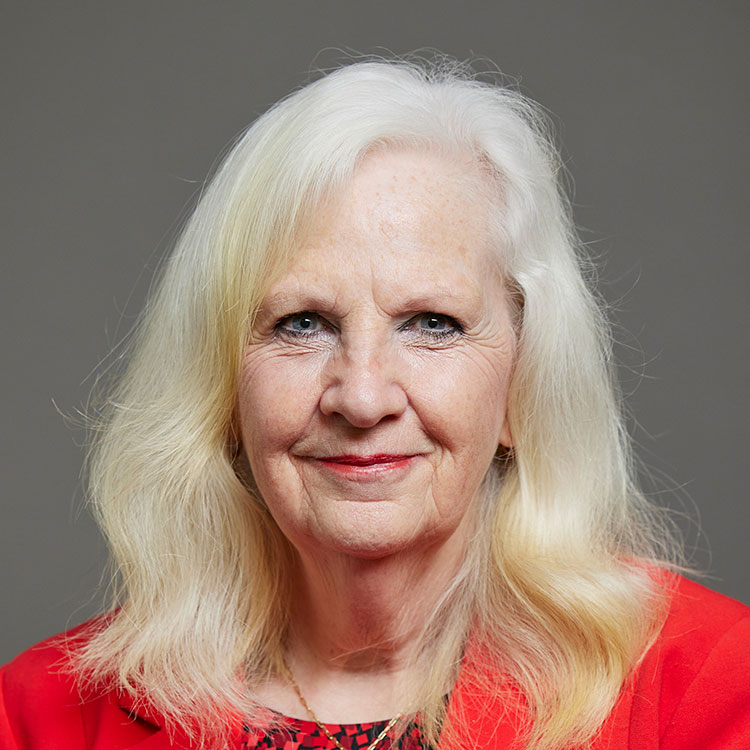 A photograph of Baroness Taylor of Stevenage